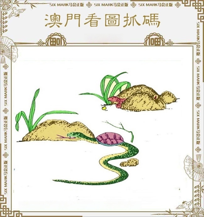 看图抓码