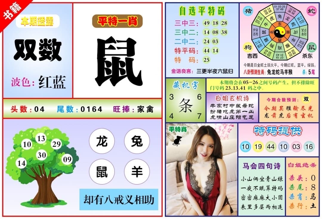 美女暴特27